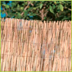 Caizo de Bambu Natural Entero 0,80 X 5 m. Nacional